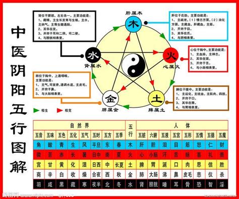 五行術